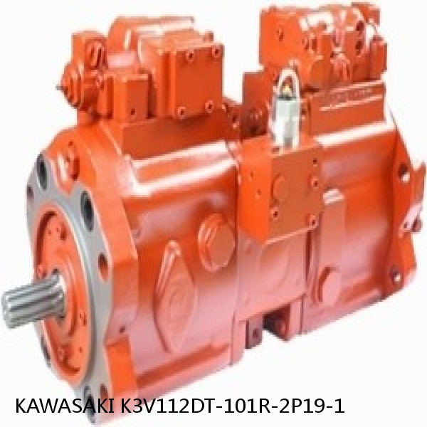 K3V112DT-101R-2P19-1 KAWASAKI K3V HYDRAULIC PUMP #1 image